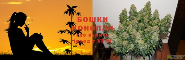 бошки Алексеевка