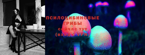 бошки Алексеевка