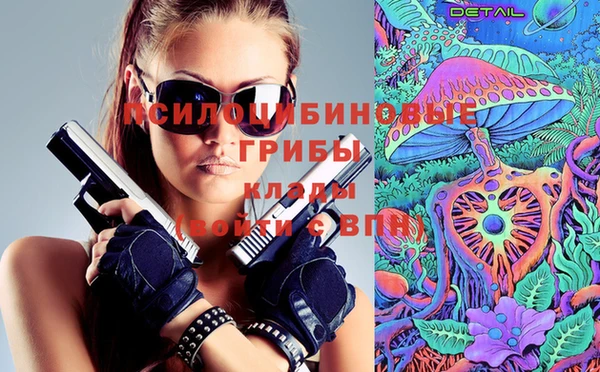 ПСИЛОЦИБИНОВЫЕ ГРИБЫ Алексин