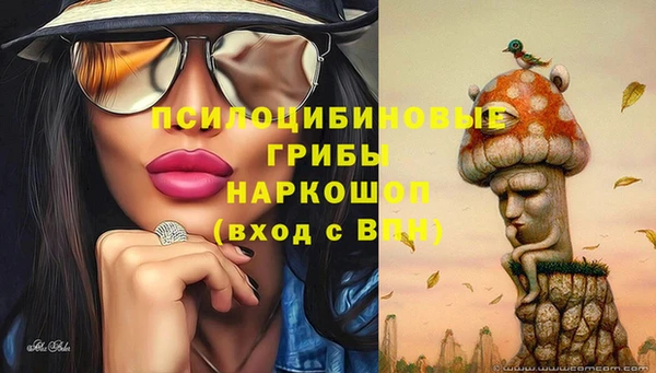 spice Алзамай