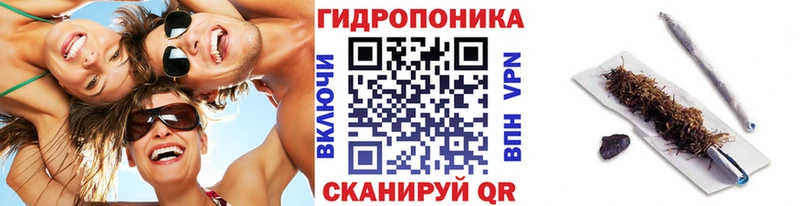МАРИХУАНА индика Куса